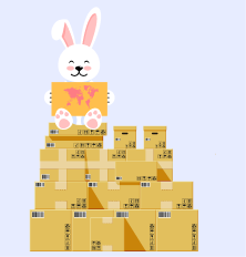 Rabbit Speed - International Courier Services in Hyderabad | Best ...